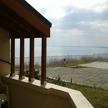 Holiday *